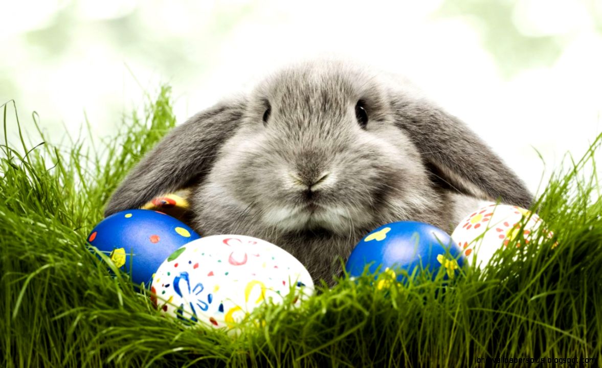 Wallpaper Paste Wallpapers HD Quality Wallpaper Paste Wallpapers HD Quality