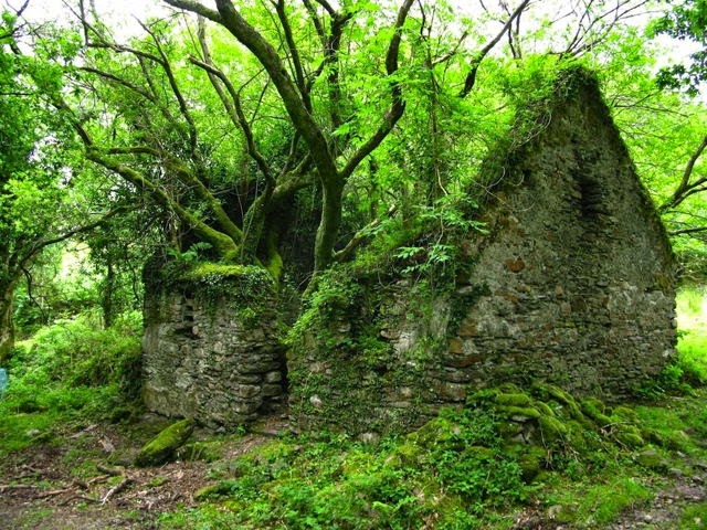 Casa abandonada en Irlanda