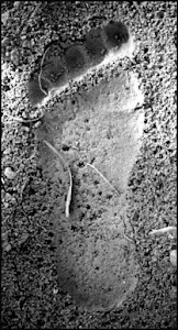 Footprint found on Blue Creek Mountain Road August 1967