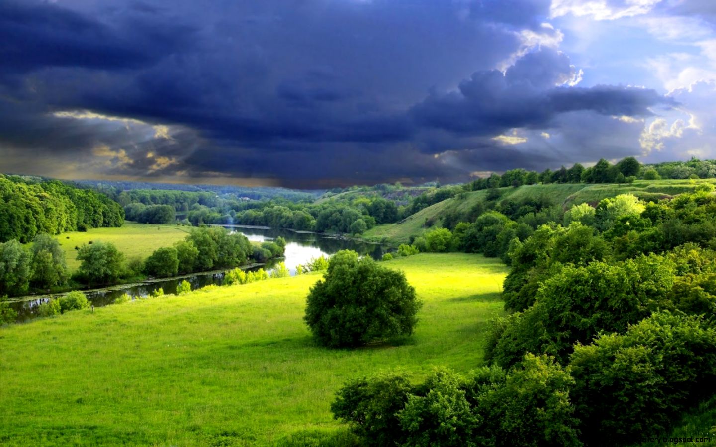 Green Nature Wallpapers HD Pictures One HD Wallpaper Pictures Green Nature Wallpapers HD Pictures One HD Wallpaper Pictures