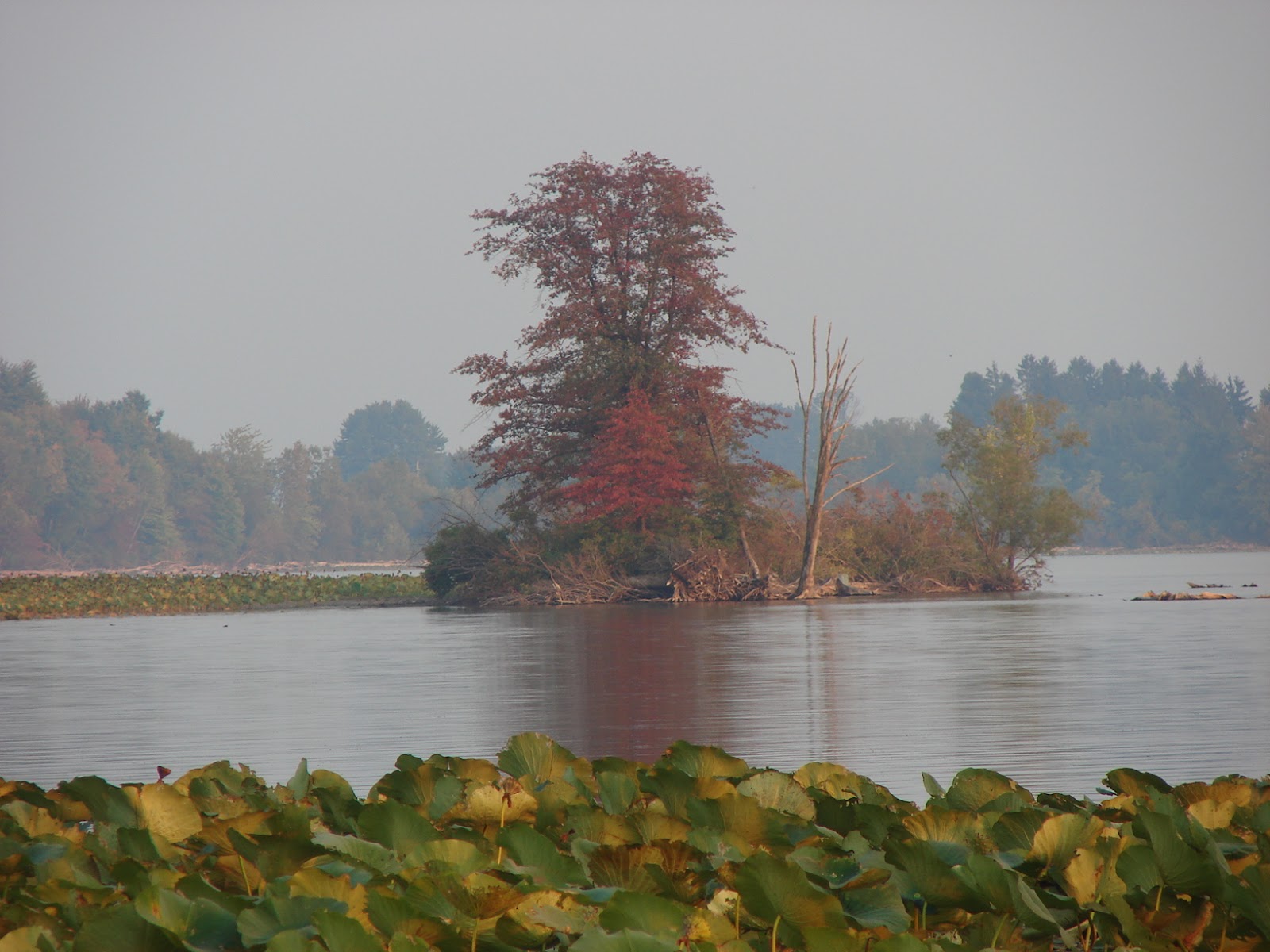 Pymatuning Photo Gallery PHOTO GALLERY OF LAKE