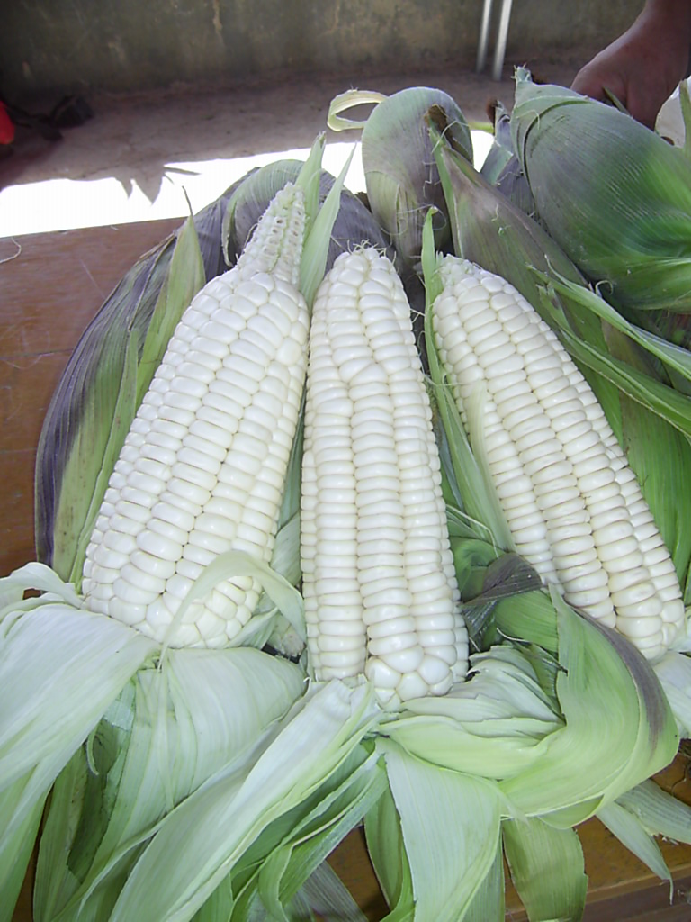 Festival del choclo en Huancayo