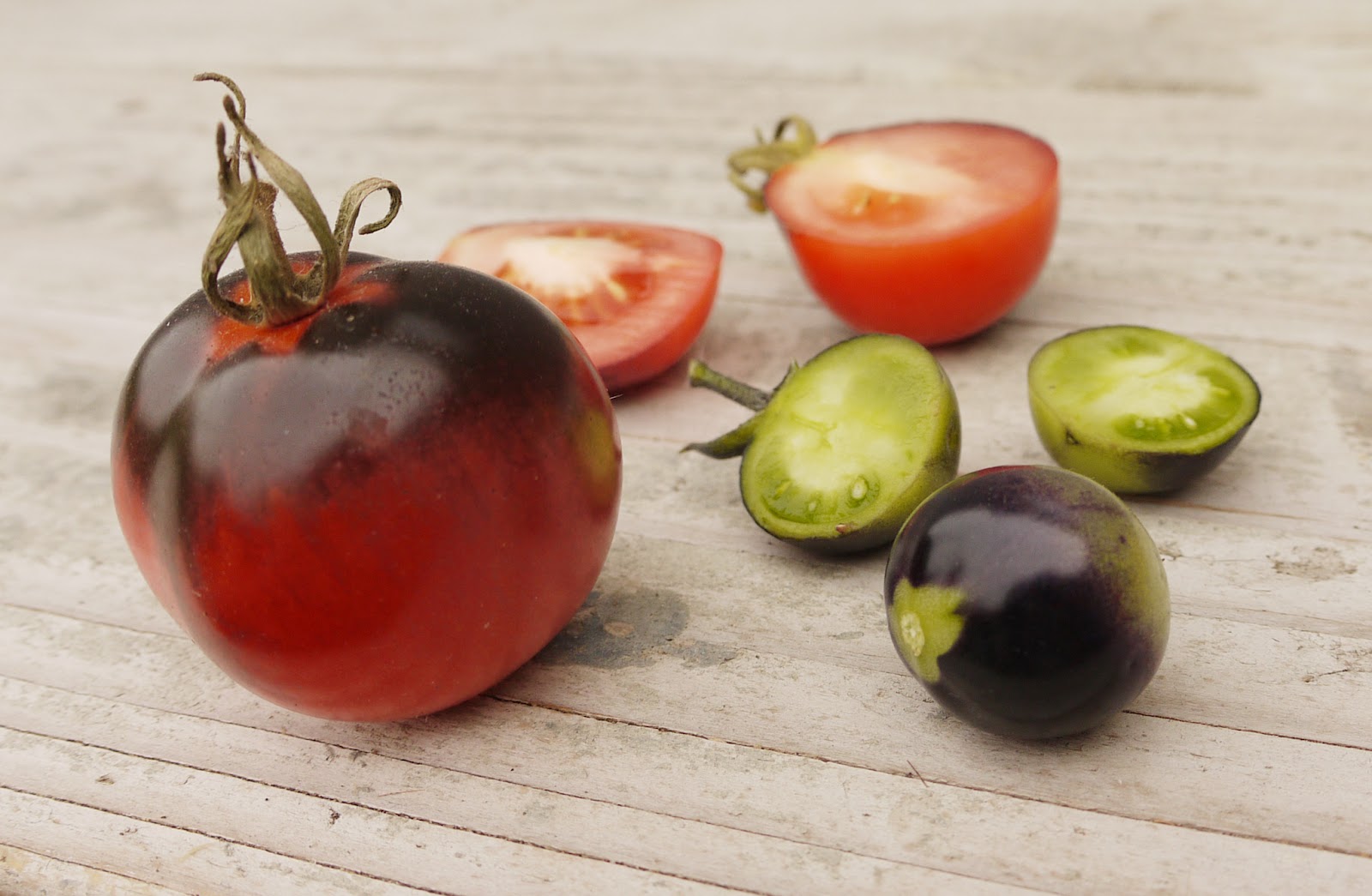 HiveQueen Evil tomatoes, part 2