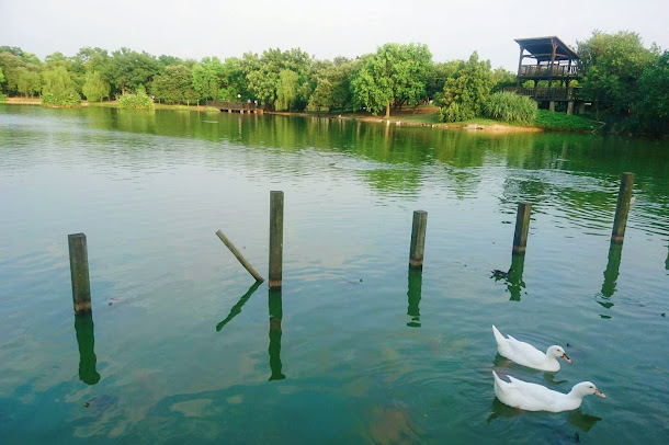 桃園市境內有兩大重要的灌溉系統,2017桃園地景藝術節把兩者靠海的各鄉鎮市和近山的各鄉鎮市都有水利系統來供應數以千頃的農田。 桃園市境內有兩大重要的灌溉系統,2017桃園地景藝術節把兩者靠海的各鄉鎮市和近山的各鄉鎮市都有水利系統來供應數以千頃的農田。