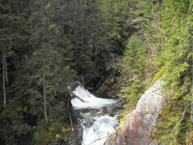 DSCF5294.jpg