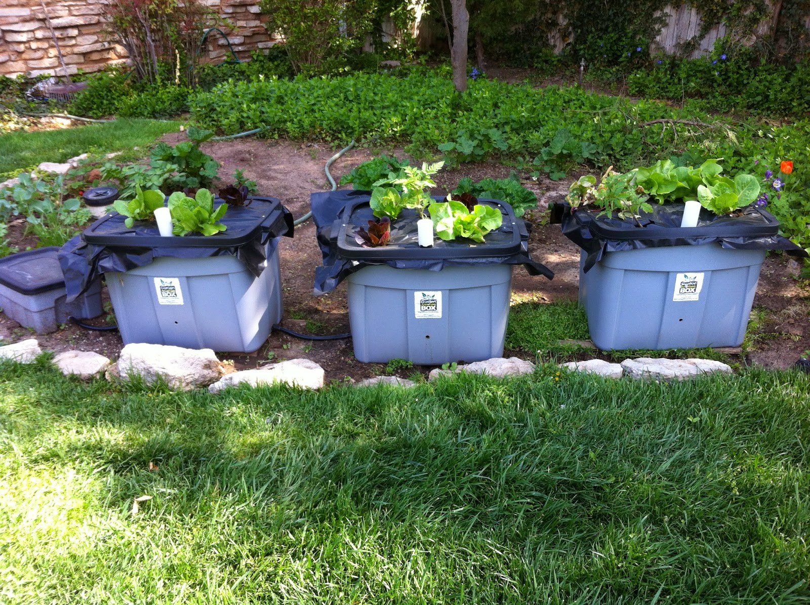 Garden Anywhere Box: Top Ten Reasons Why I Love Garden Anywhere Box