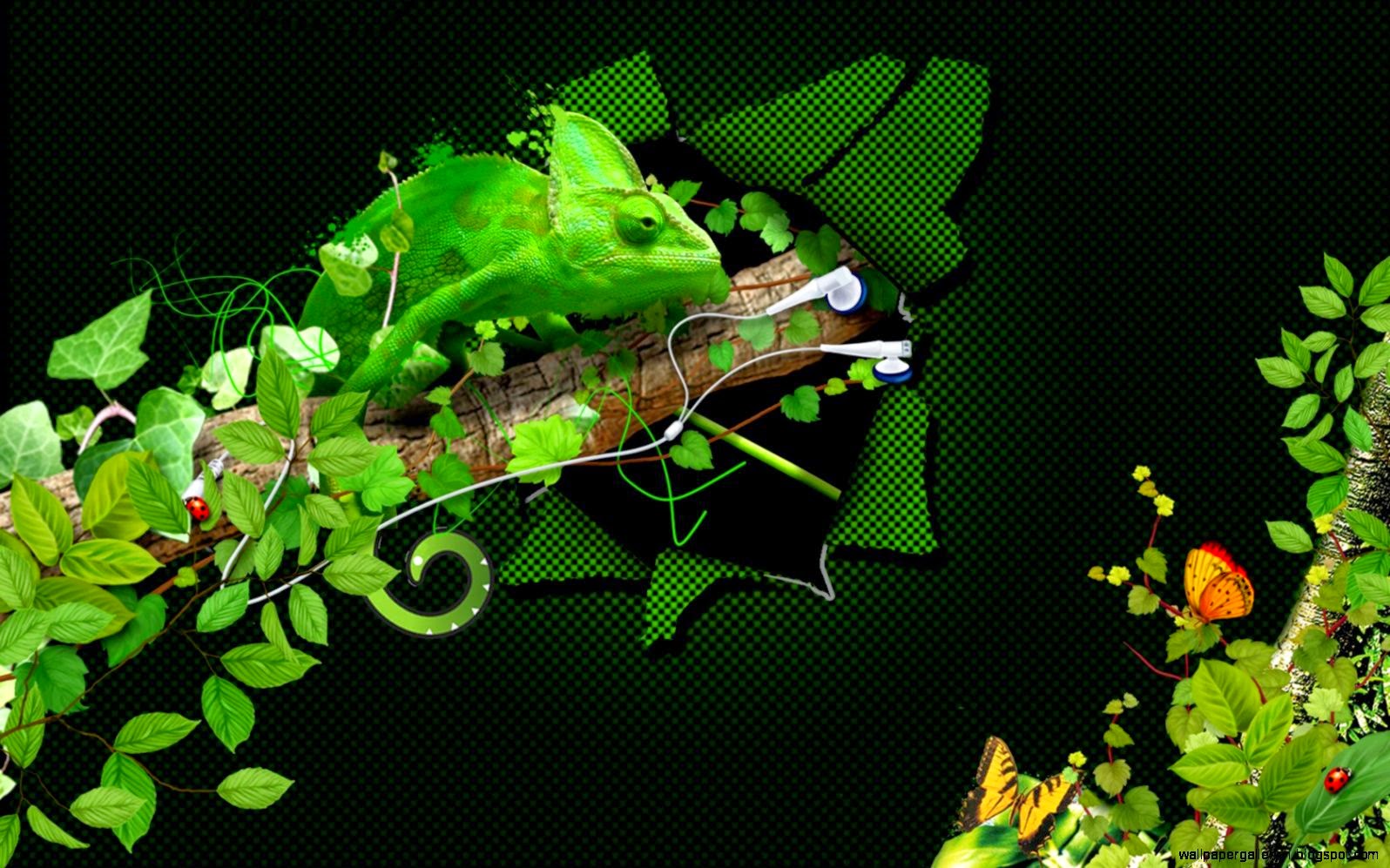 Forest audio jungle Forest audio jungle