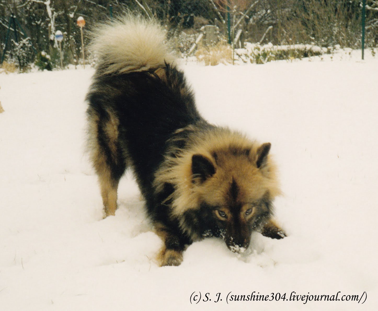 Altes Und Neues Von Bernd Nowack Dessau Oktober 2014