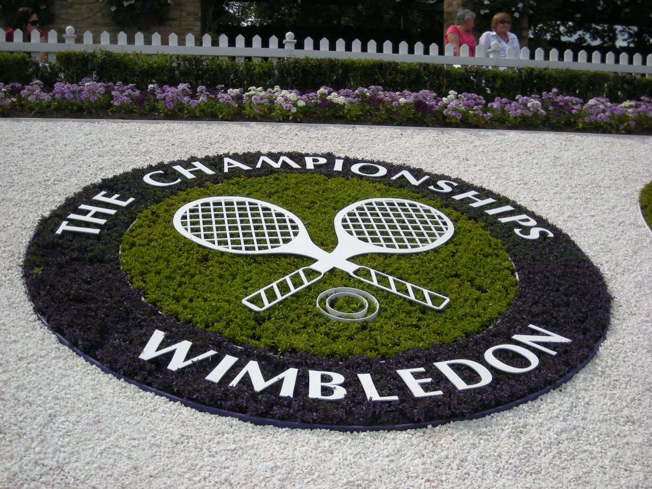 WIMBLEDON            Wimbledon+-+grassdraw