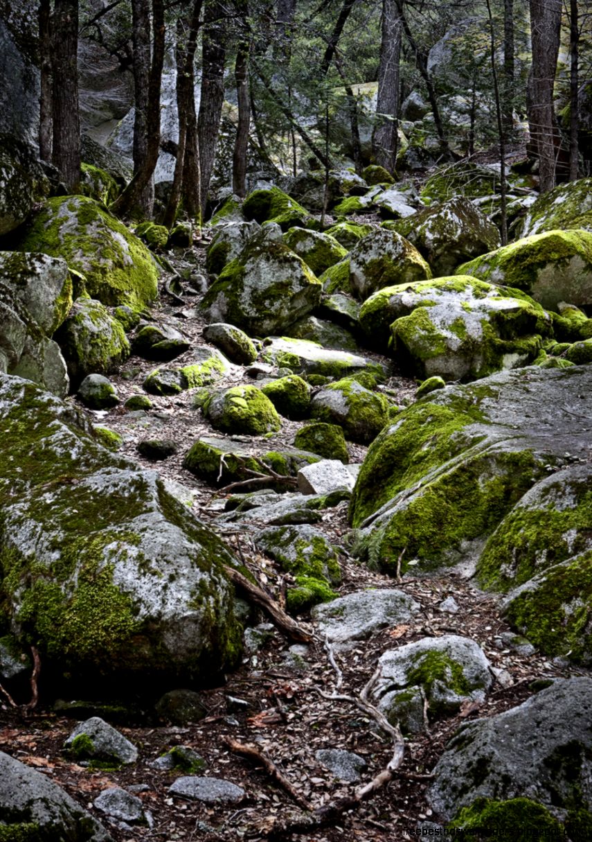 Moss Rocks by BenDiAnna on DeviantArt Moss Rocks by BenDiAnna on DeviantArt