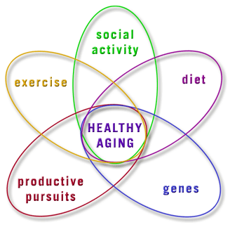 wisconsin institute for healthy aging