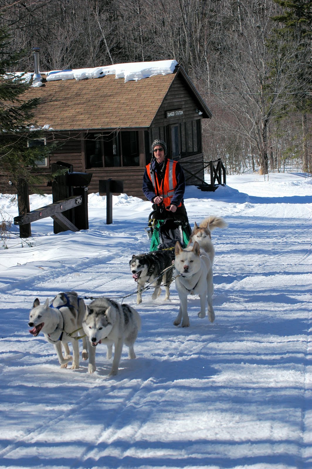 Maryland Sled Dog Adventures LLC More Maine Dog Sledding Adventures