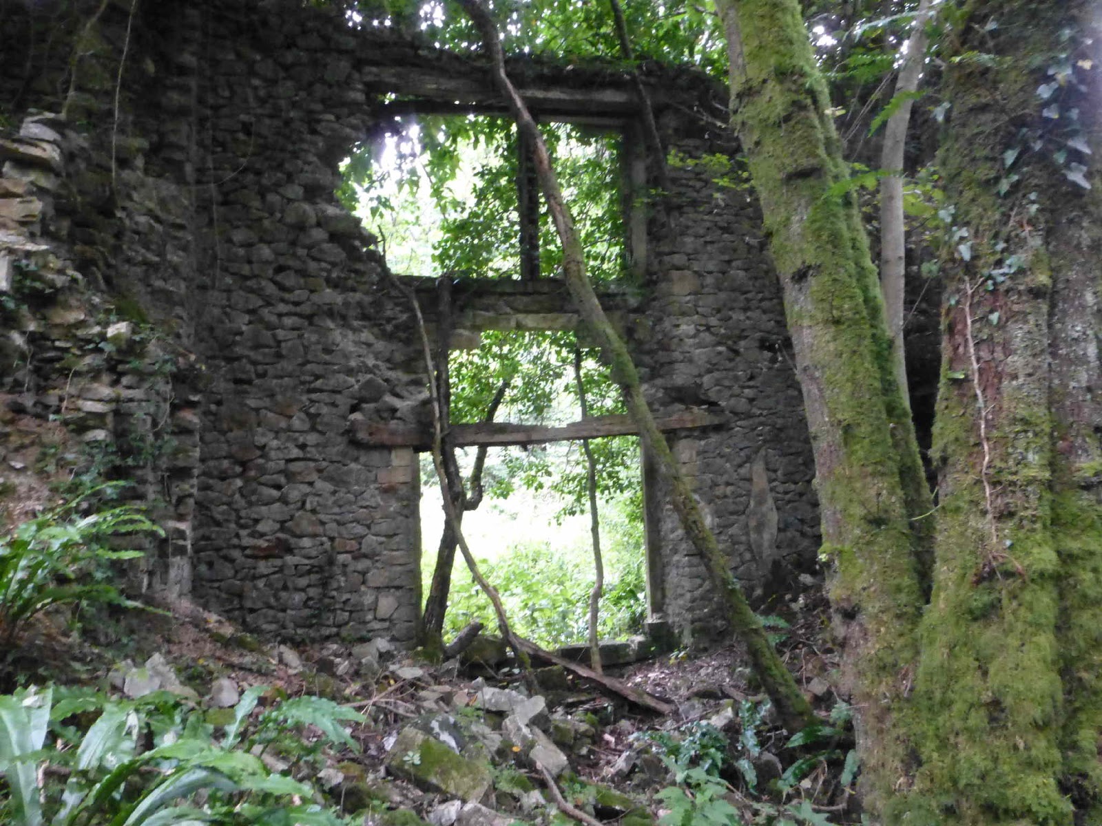 Off the Beaten Track in Somerset Ashwick Grove House, Oakhill