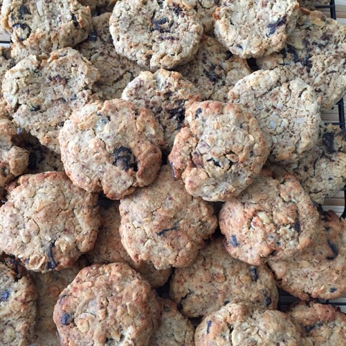 Protein snacks for type 1 diabetes our snack foods for diabetics nz The Ultimate Diabetic Cookie