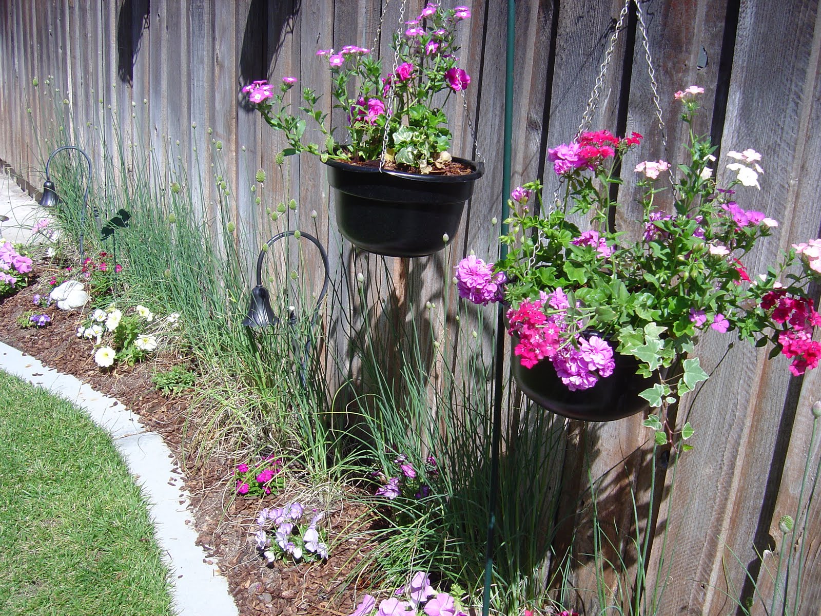 Gardening project Trellises & Containers Organizing Made Fun