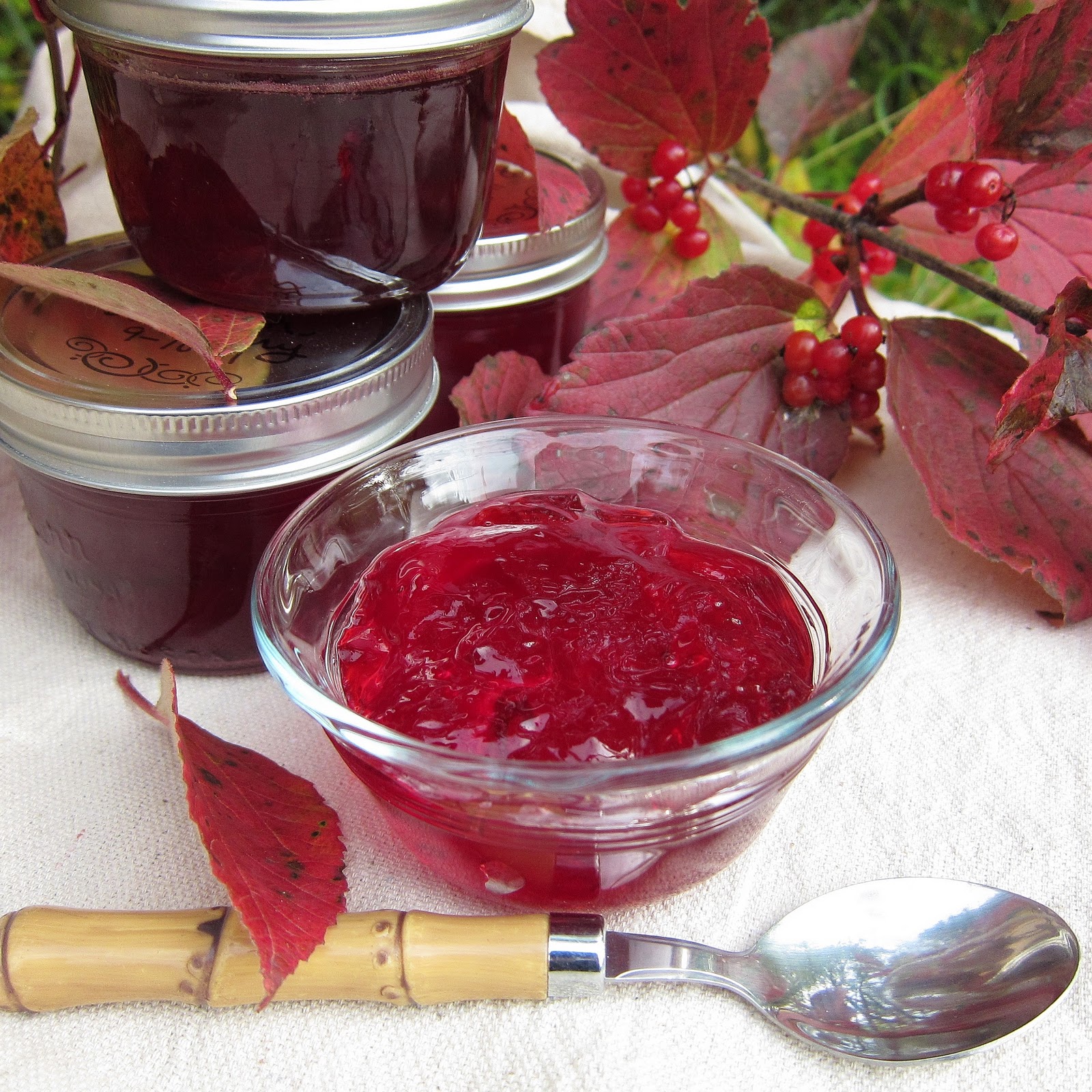 Arctic Garden Studio Highbush Cranberry Jelly