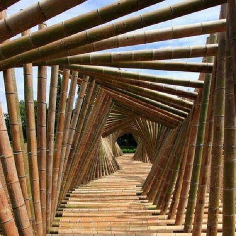 Bamboo walkway Bamboo architecture, Architecture, Landscape design