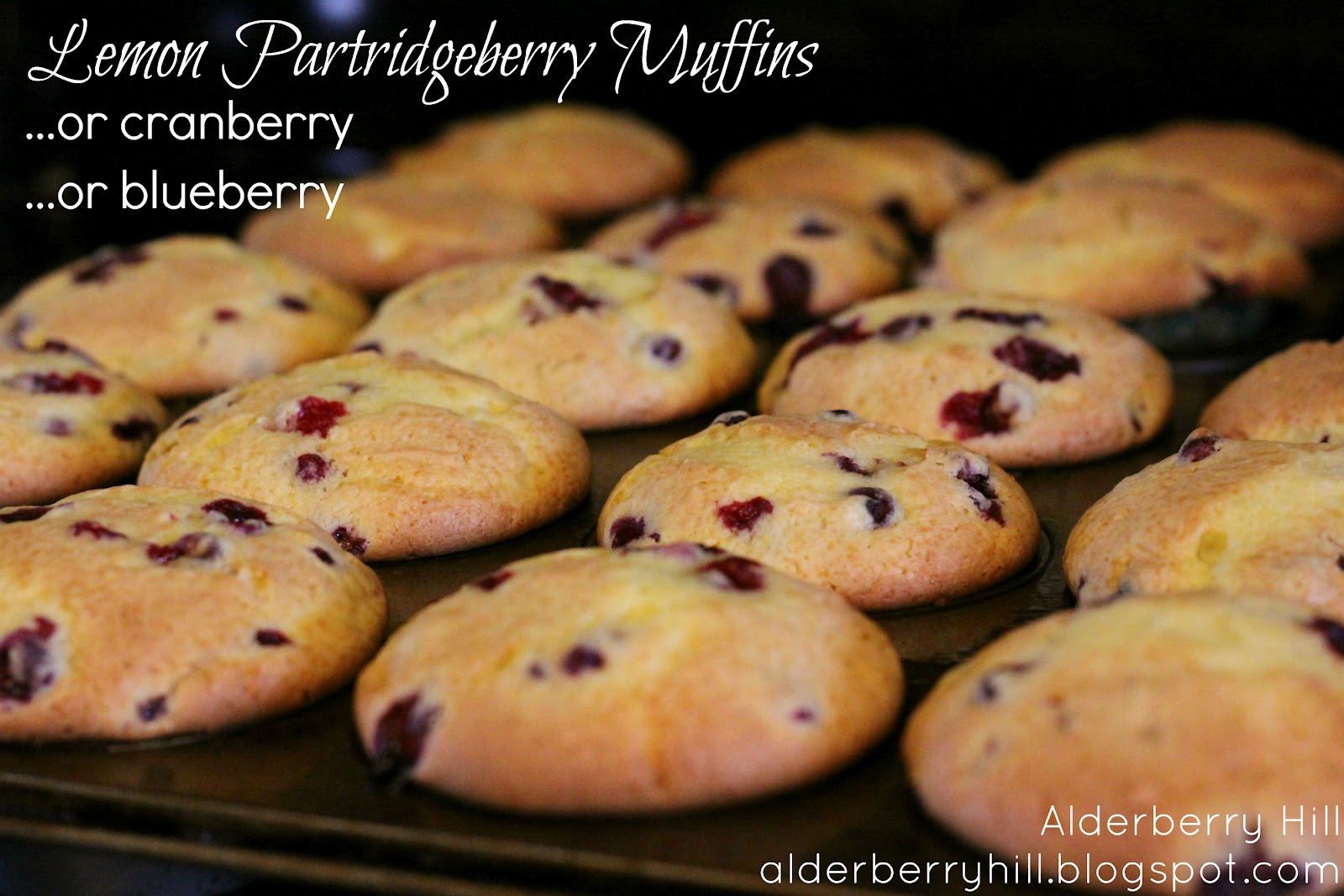 partridge berry muffins