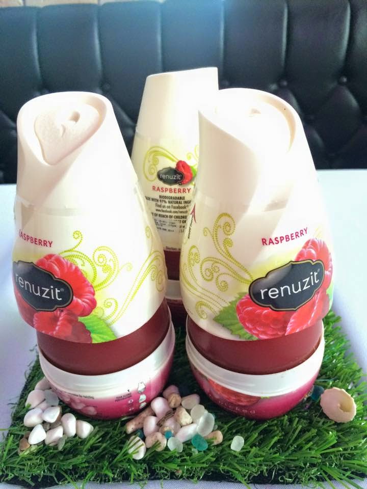 Renew Your Home with Renuzit Air Freshener It's Me, Gracee
