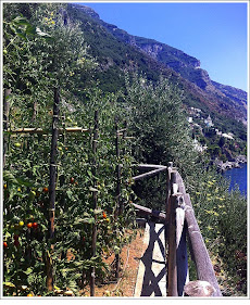 Vegetable Garden of the Hotel Le Sirenuse, Positano