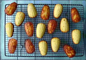 three-times-the-ginger madeleines