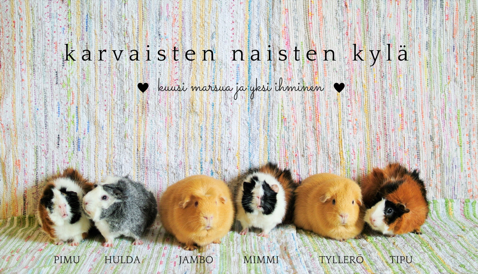 Karvaisten naisten kylä