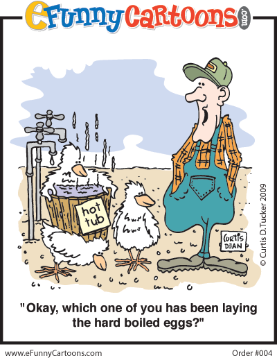 Chicken Hot Tub