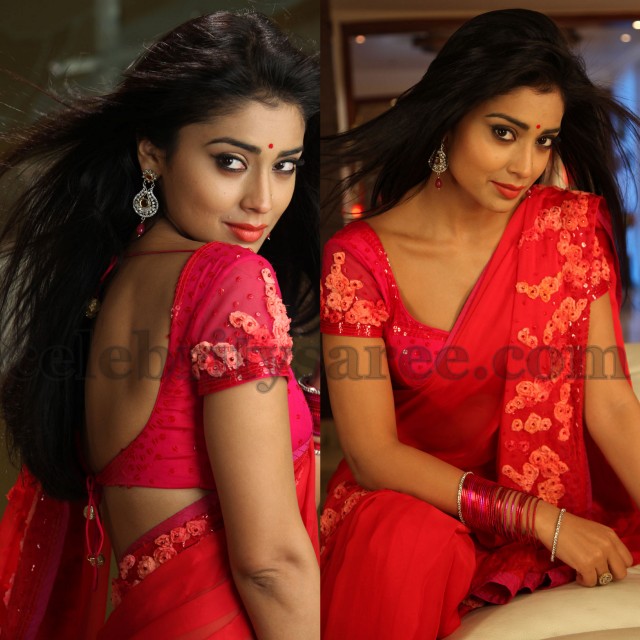 Shriya Saran Back Less Blouses - Saree Blouse Patterns