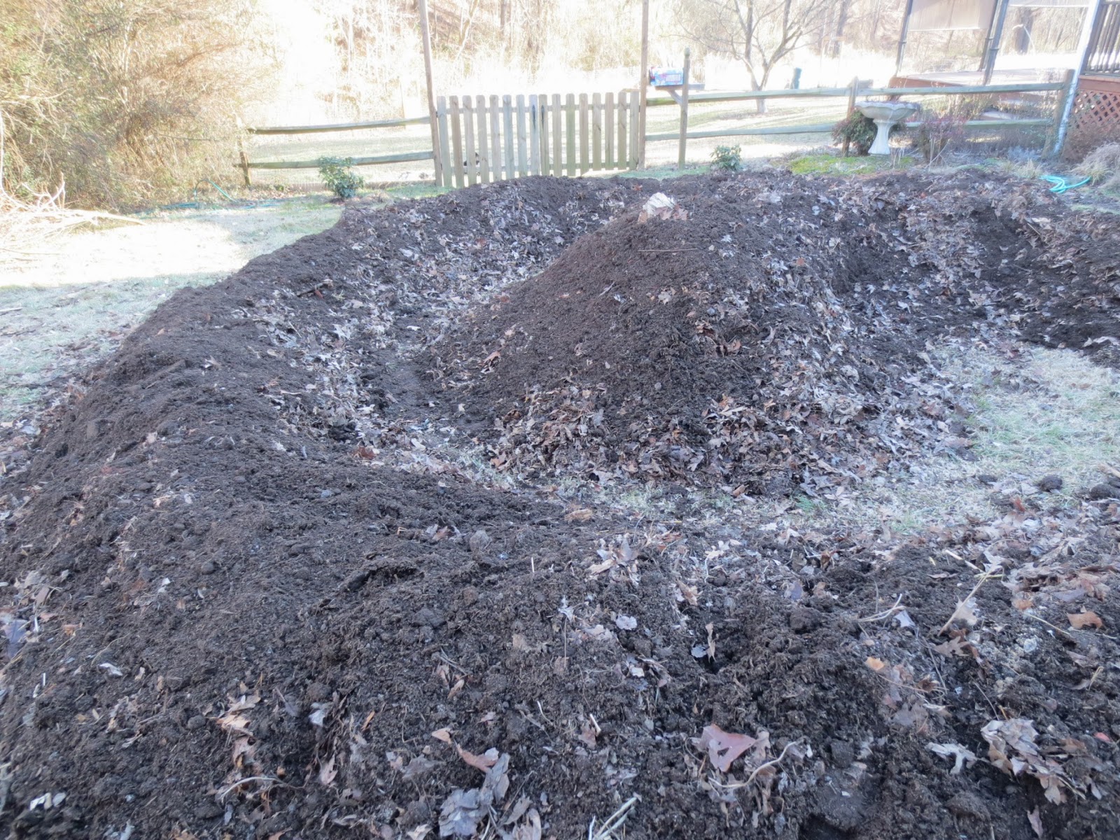 January 2014 Doomstead Diner