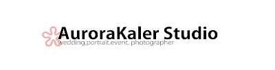Aurorakaler studio