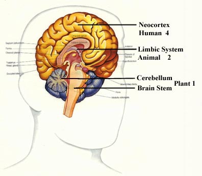 The X Spot: Waging Ghostly War on a National Level: Neuralinhibitions