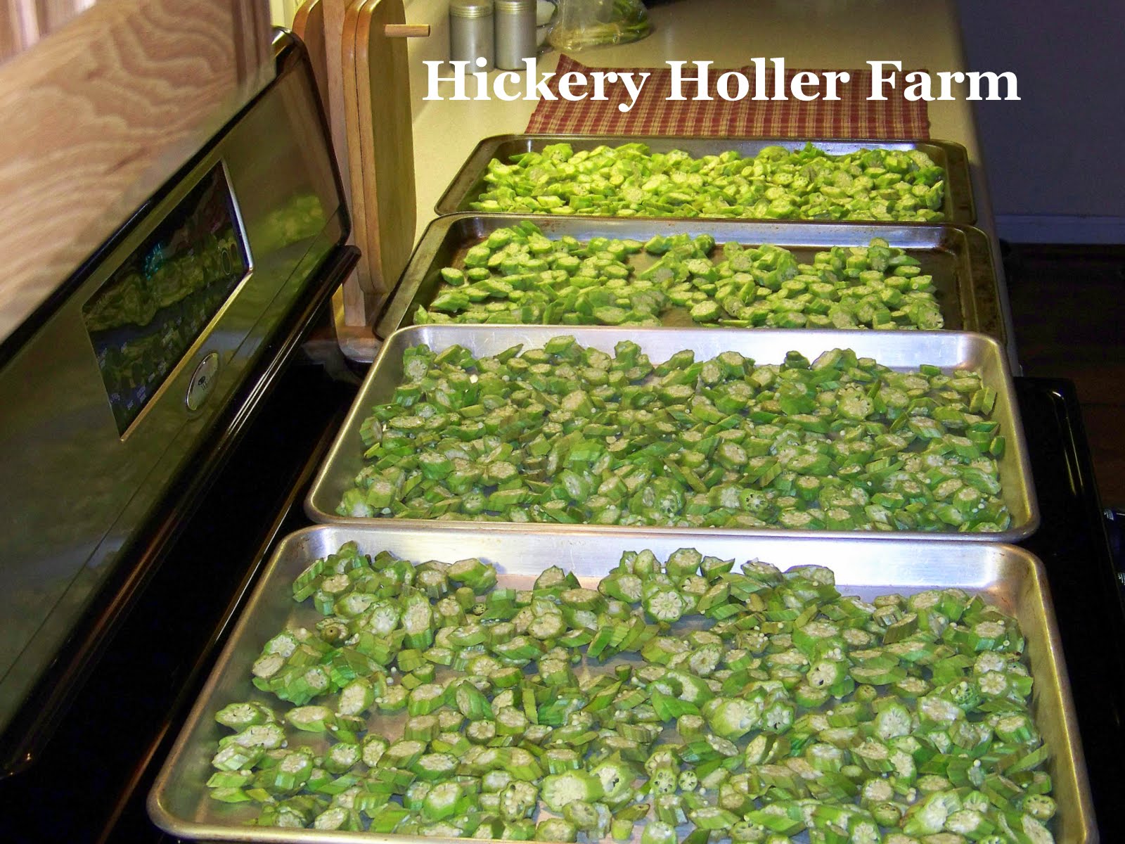 Hickery Holler Farm Blanching Okra And Freezing Breaded Okra
