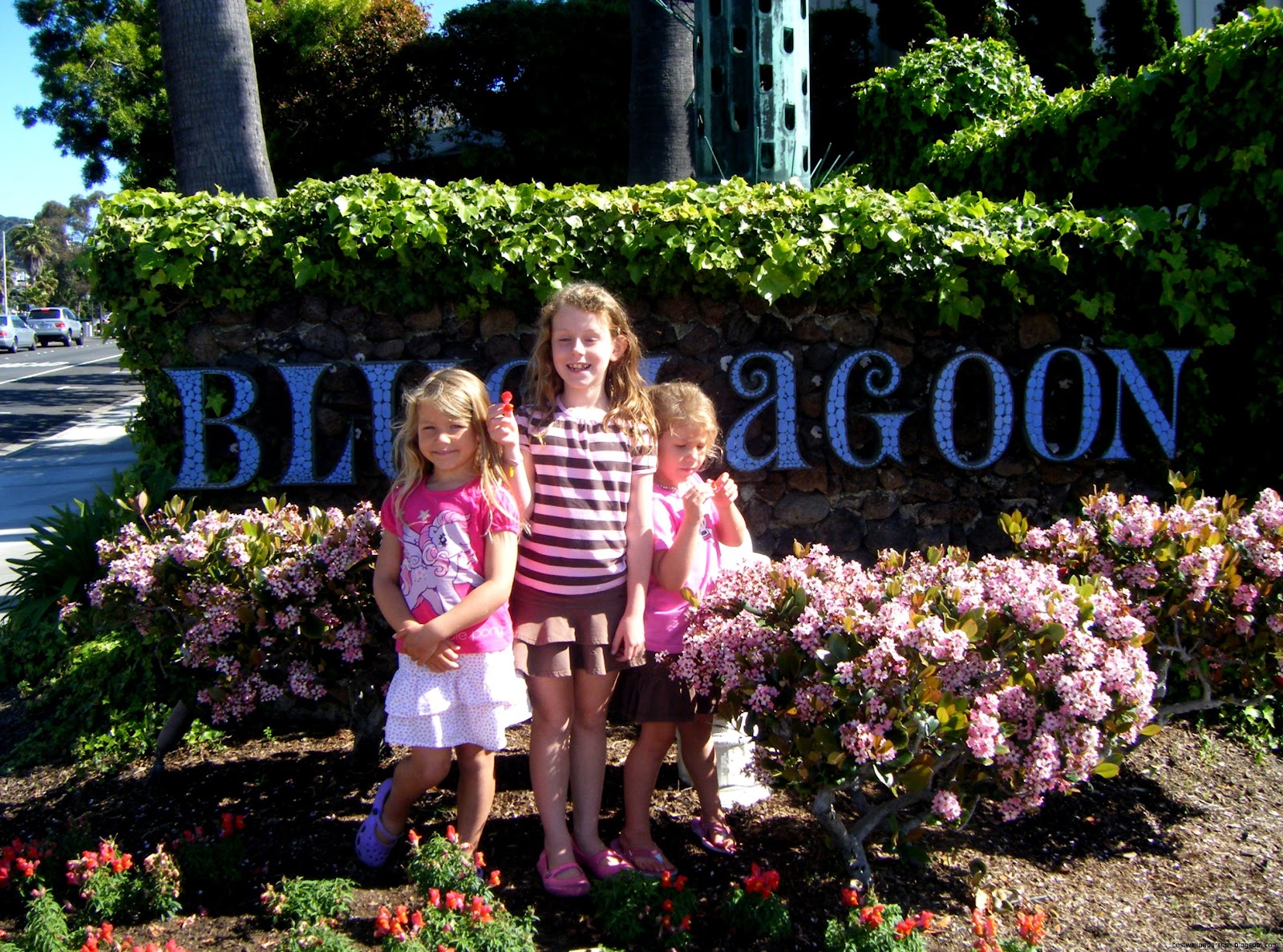 Posted by lagunabliss April 29 2010 Posted by lagunabliss April 29 2010
