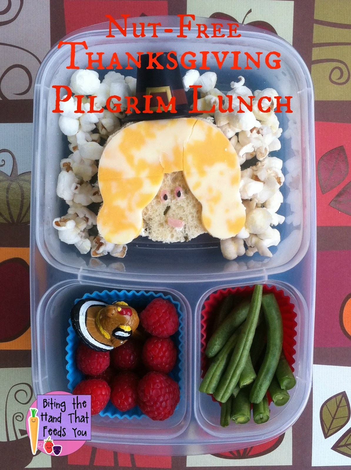 50+ Easy Lunch Tray Ideas - This Pilgrim Life