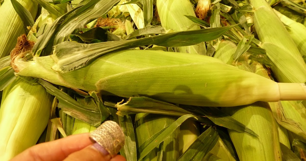 AP Biology Summer Assignment Endosperm