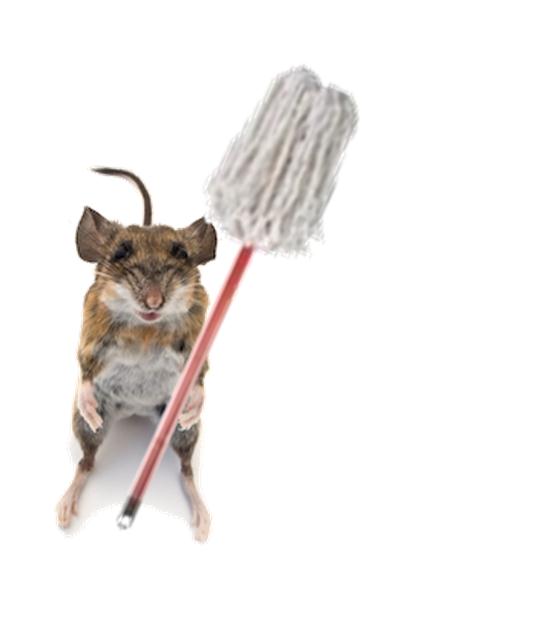 Get With Public Health Spring Cleaning and Hantavirus