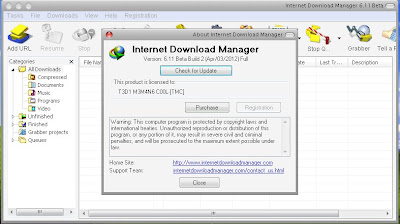 Internet Download Manager v6.11.7 (FULL VERSION)