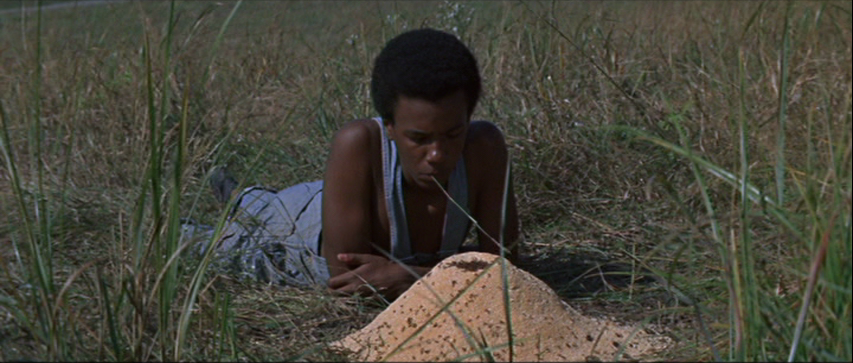 traveling et richard ward the c...