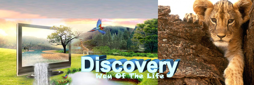 Life of Discovery