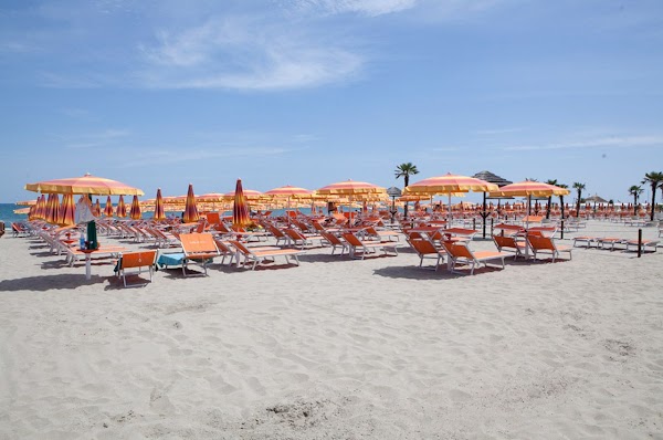 MILANO MARITTIMA: TANTI HOTEL PER ESSERE PROTAGONISTI DEL DIVERTIMENTO MILANO MARITTIMA: TANTI HOTEL PER ESSERE PROTAGONISTI DEL DIVERTIMENTO
