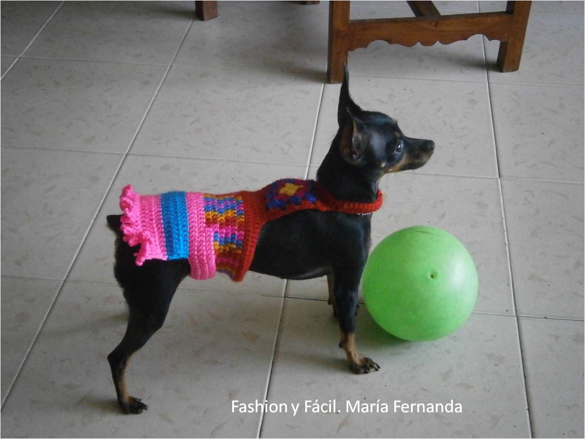 Perro Pincher Miniatura Vestidos Para Pincher Hembra Vestidos Para