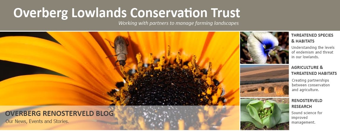 Overberg Lowlands Conservation Trust