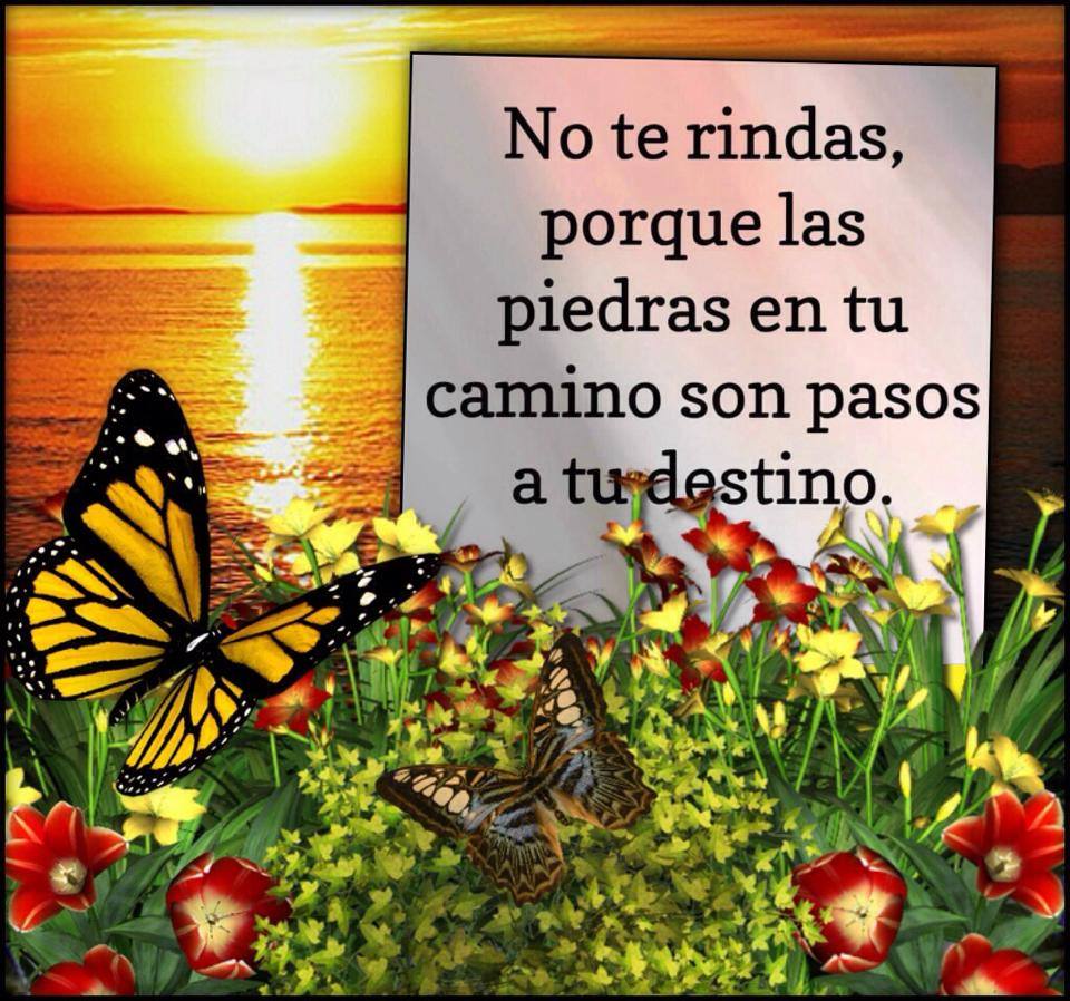 Resultado de imagen para NO TE RINDAS