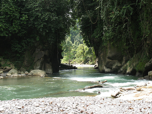 Mount Leuser National Park ( Aceh,Indonesia )