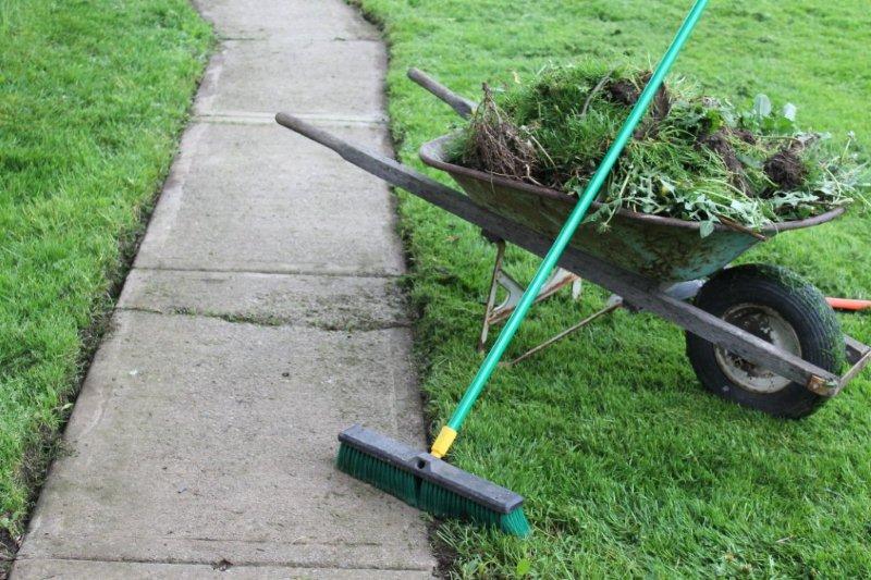 Sidewalk / Grass Edger
