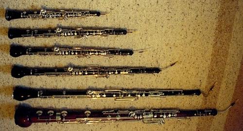 Dilwe 1PC/5Pcs Cañas de Oboe Hechas a Mano Suave Parte del Instrumento Musical Cañas de Oboe con Caja de Plástica 