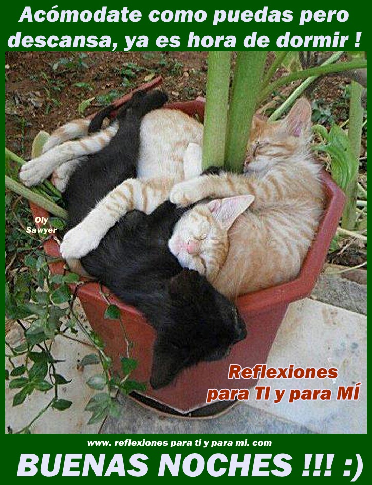 Afbeeldingsresultaat voor descansa amiga buenas noches