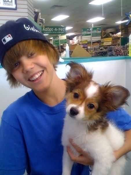 Justin Bieber Justin Bieber