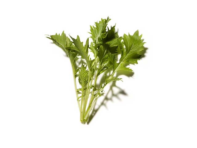 zapatillas trail running gore tex