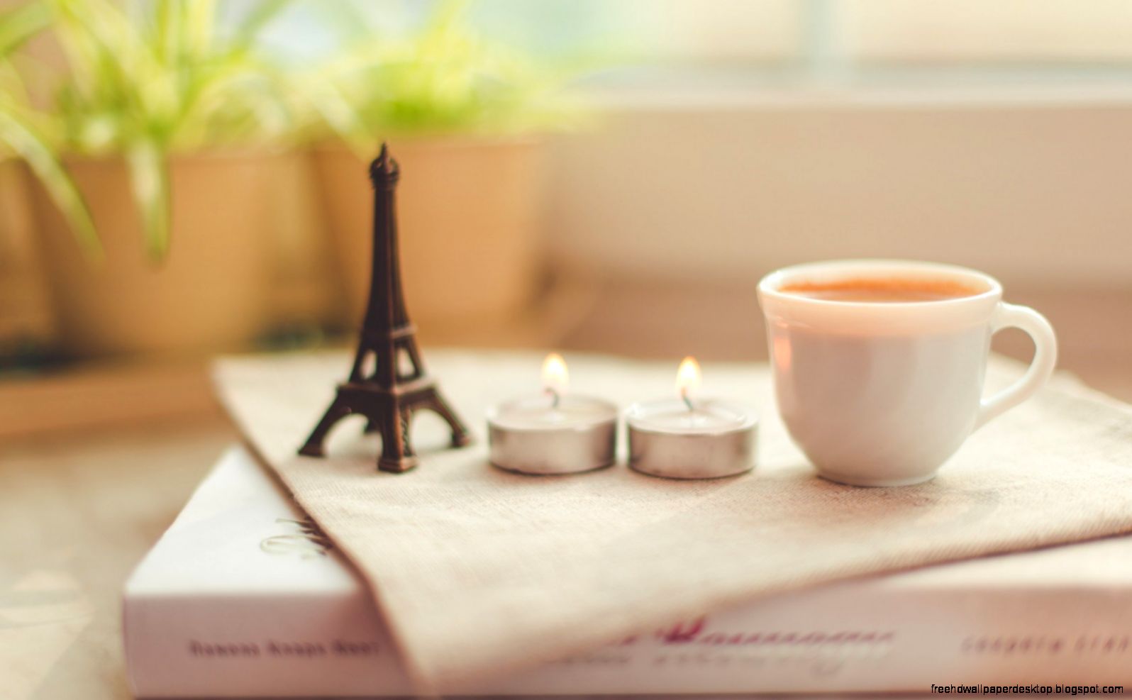 Candles Cup Roses Pink Flowers Mood Hd Wallpaper Best Desktop Candles Cup Roses Pink Flowers Mood Hd Wallpaper Best Desktop